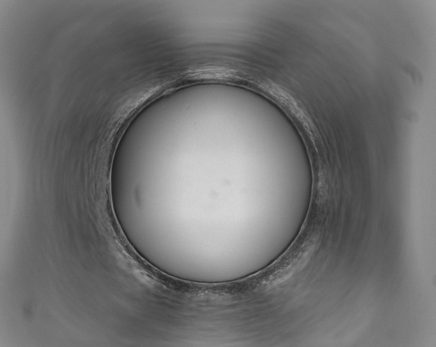X0000111020529200906261542