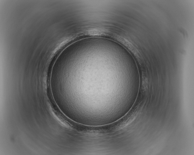 X0000111020530200906261542