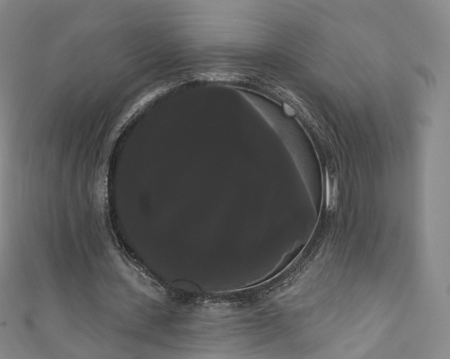 X0000111020531200906261542