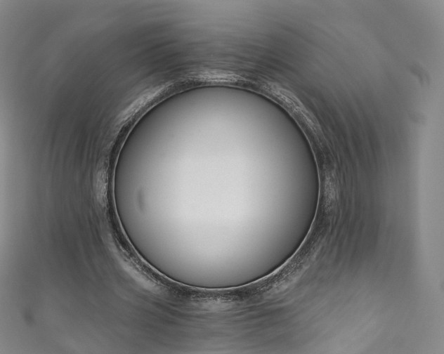 X0000111020533200906261542