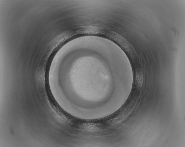 X0000111020534200906261542