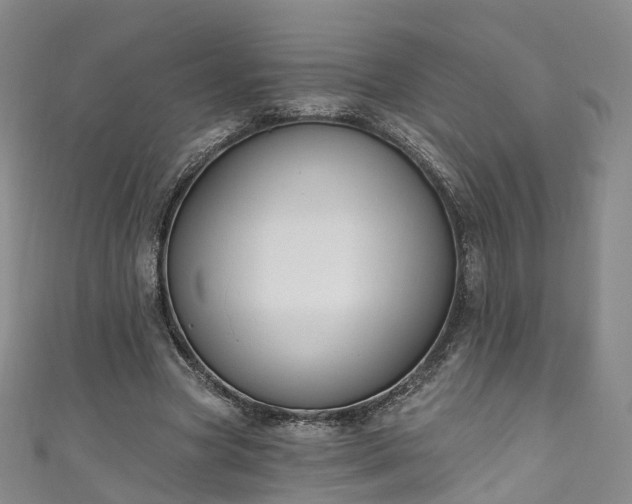 X0000111020537200906261542