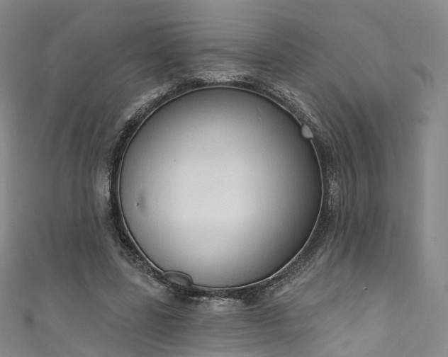 X0000111020539200906261542