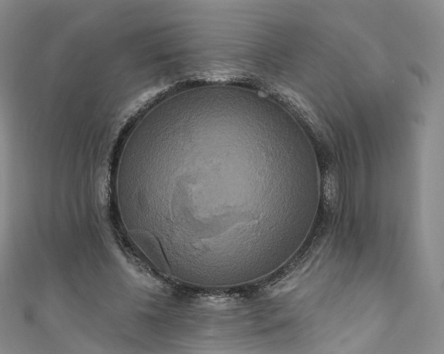 X0000111020540200906261543