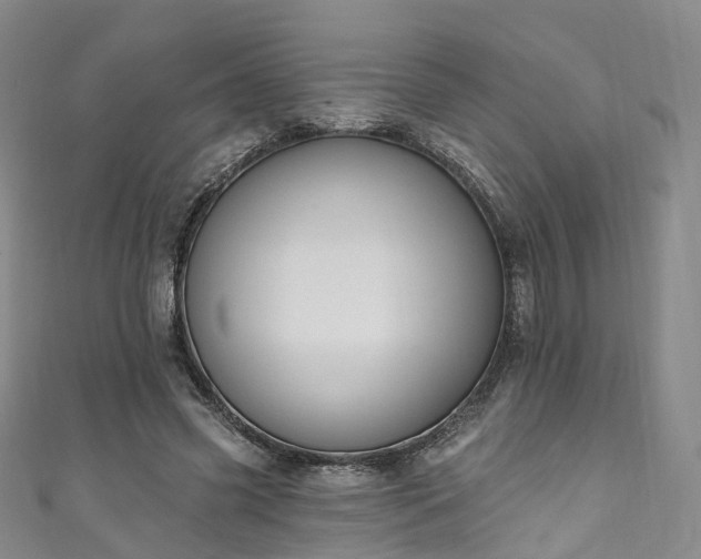 X0000111020541200906261543