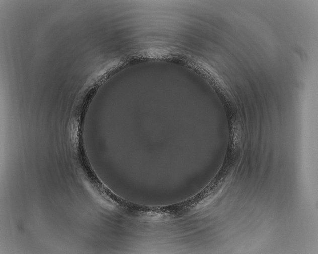 X0000111020542200906261543