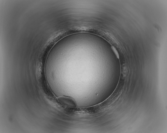 X0000111020544200906261543