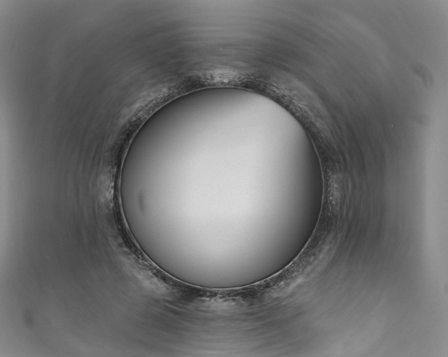 X0000111020545200906261543