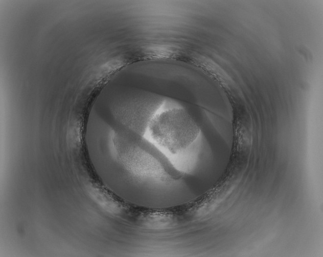 X0000111020546200906261543