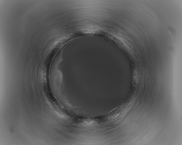X0000111020547200906261543