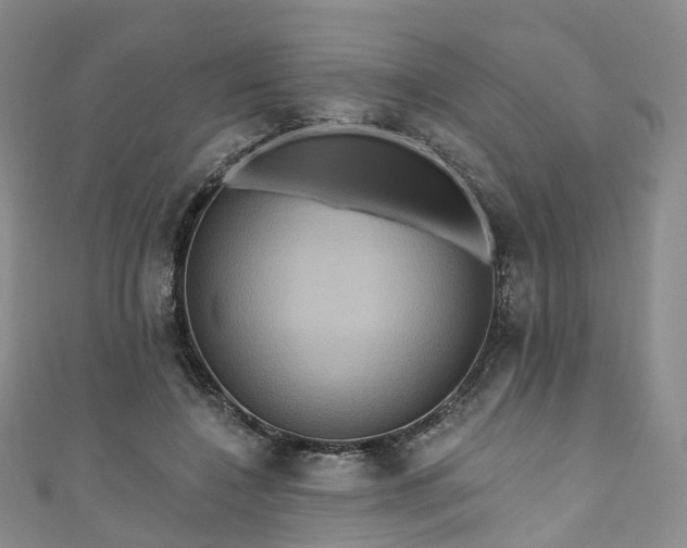 X0000111020548200906261543