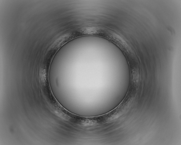 X0000111020549200906261543