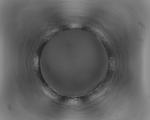 X0000111020550200906261543