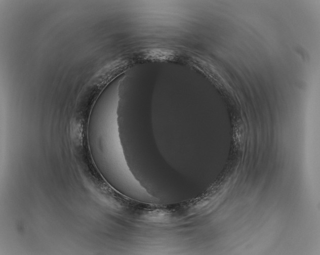 X0000111020551200906261543