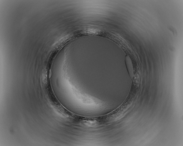 X0000111020552200906261543