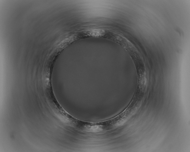 X0000111020553200906261543