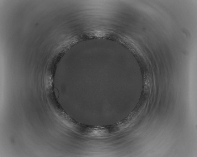X0000111020555200906261543
