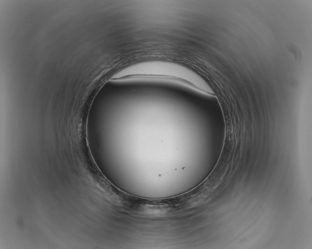 X0000111020556200906261543