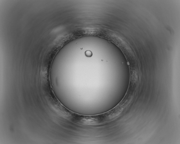 X0000111020557200906261543