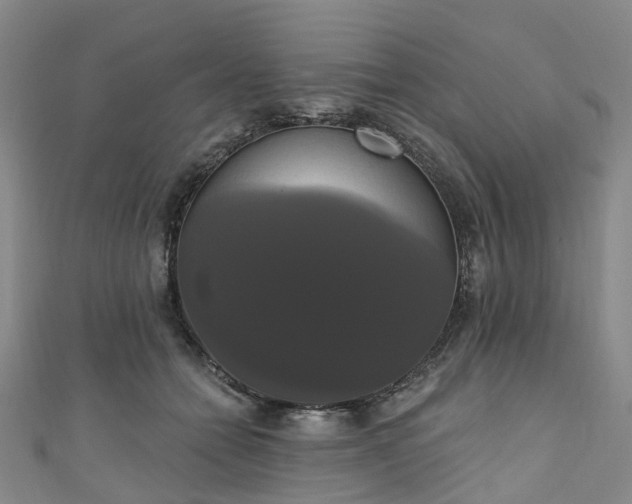 X0000111020558200906261543