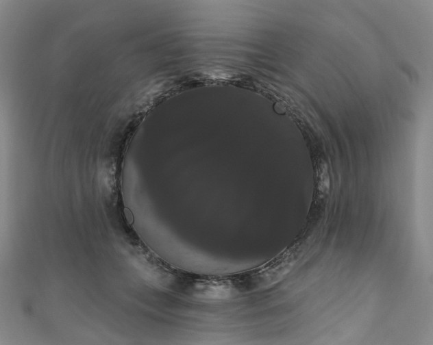 X0000111020559200906261543