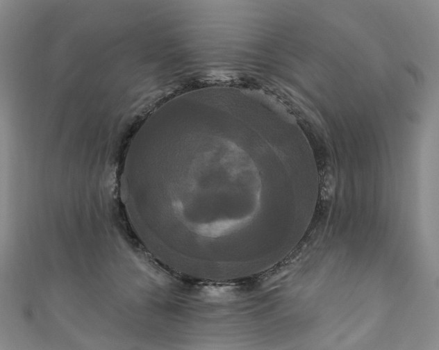 X0000111020560200906261543