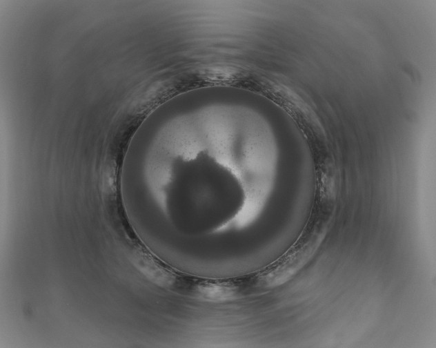 X0000111020561200906261543