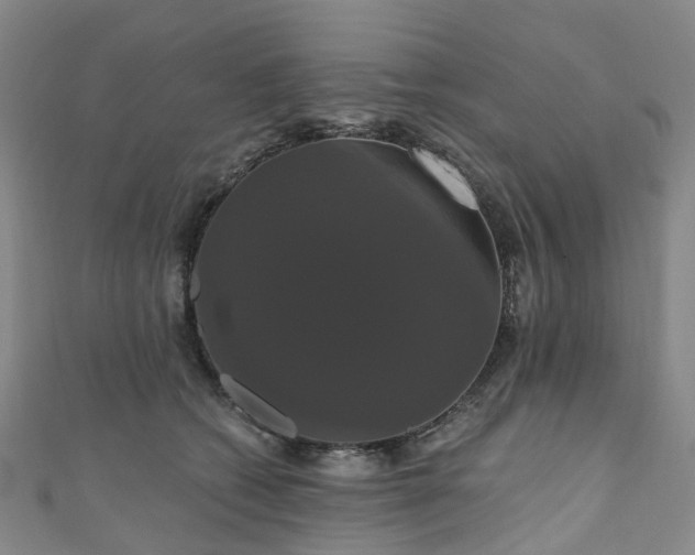 X0000111020562200906261543