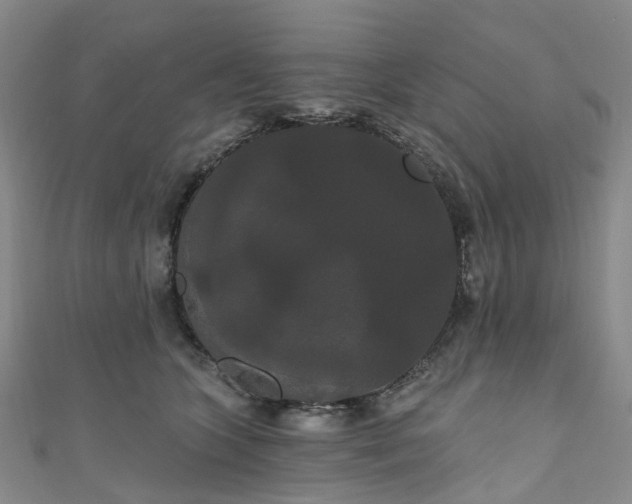 X0000111020563200906261543