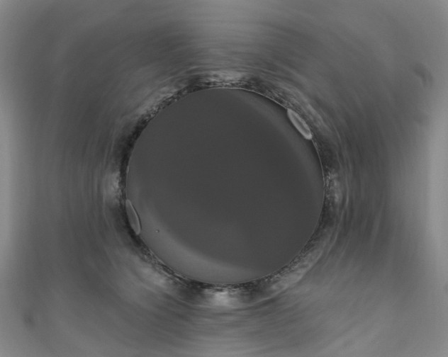 X0000111020564200906261543