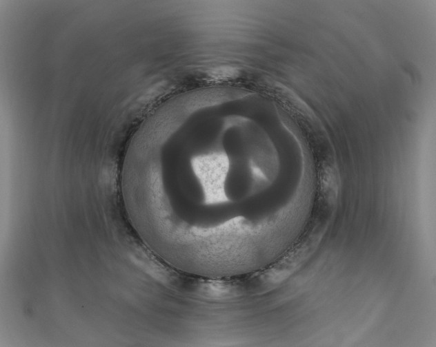 X0000111020565200906261543