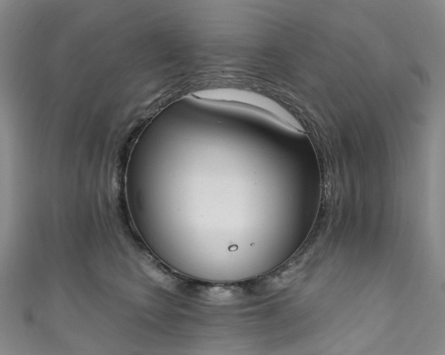 X0000111020566200906261543