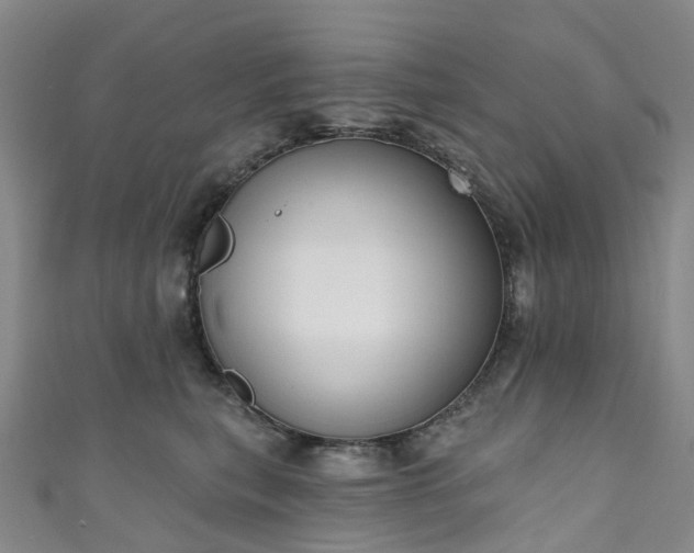 X0000111020567200906261543