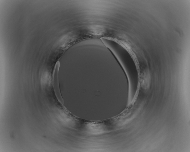 X0000111020568200906261543