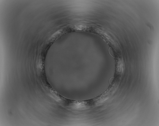X0000111020569200906261543