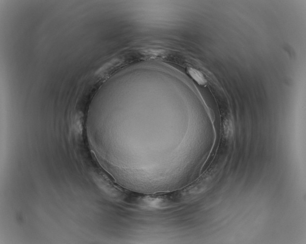 X0000111020570200906261543