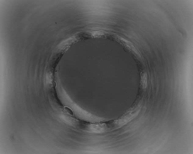 X0000111020571200906261543