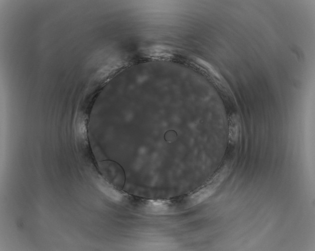 X0000111020573200906261543