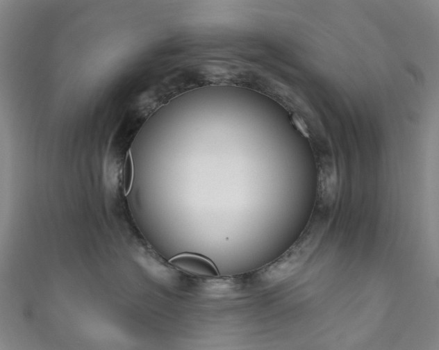 X0000111020574200906261543