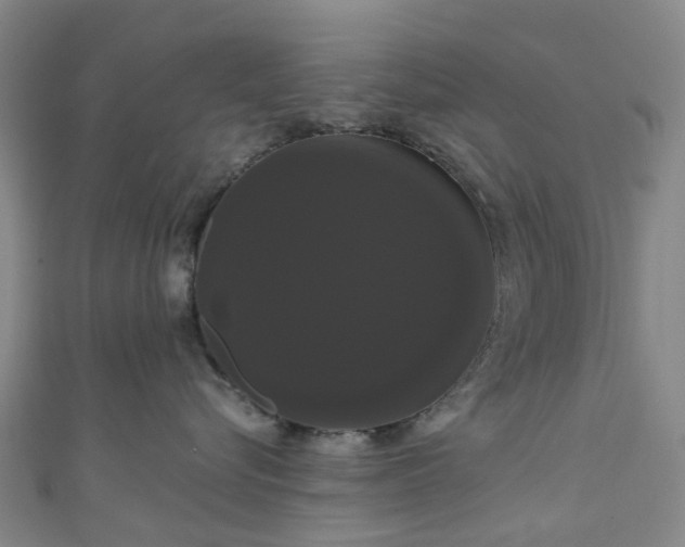 X0000111020576200906261543
