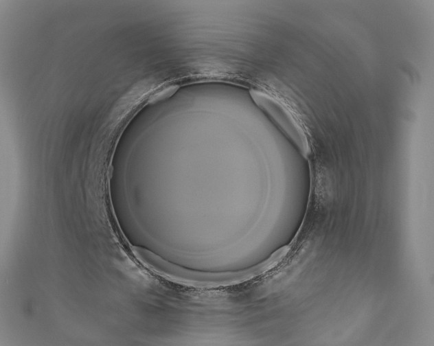 X0000111020577200906261542