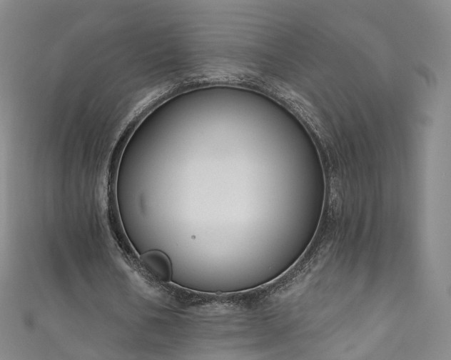 X0000111020578200906261542