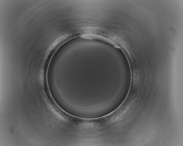 X0000111020581200906261542