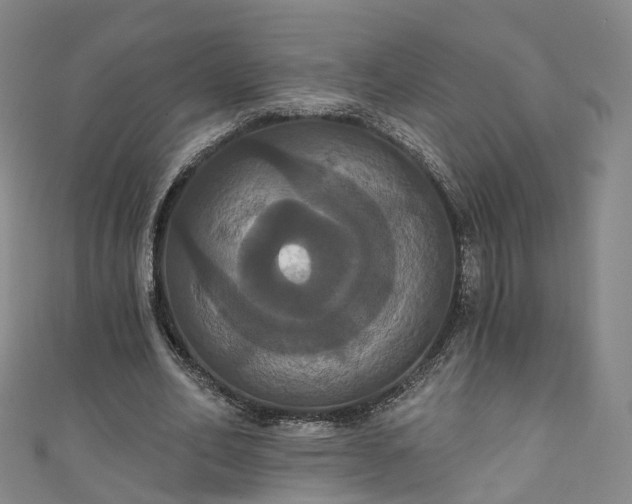 X0000111020582200906261542