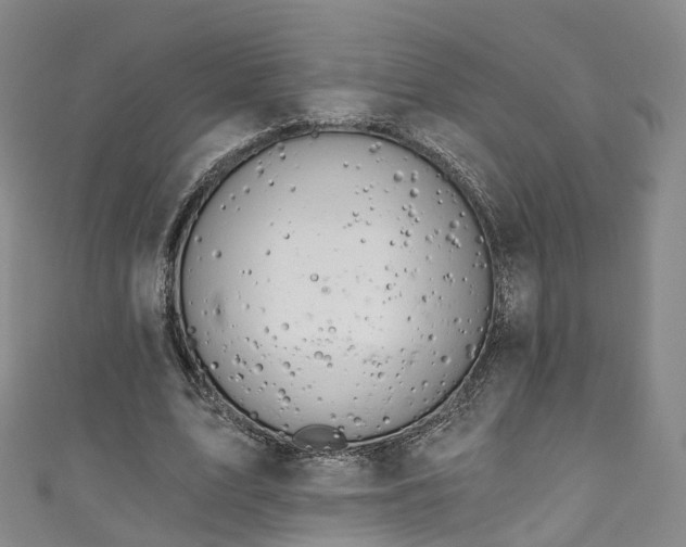 X0000111020583200906261542