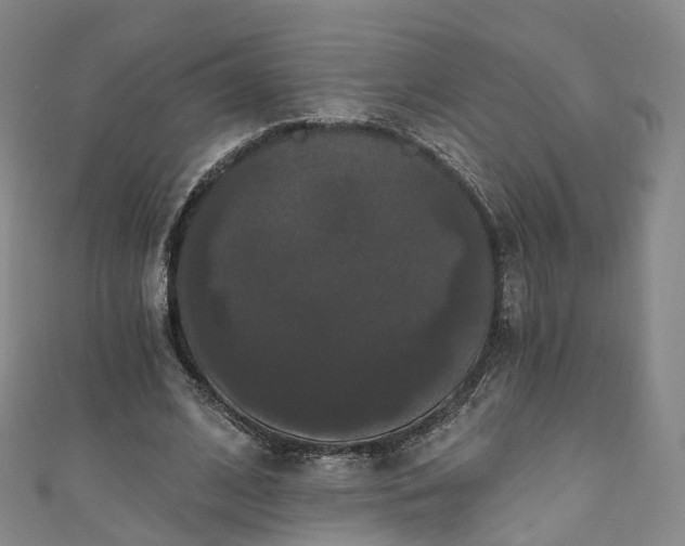 X0000111020584200906261542