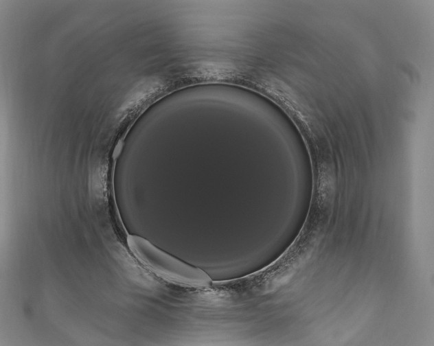 X0000111020585200906261542