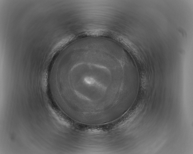 X0000111020586200906261542