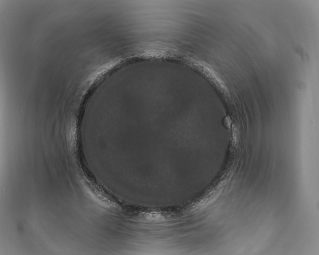 X0000111020588200906261542