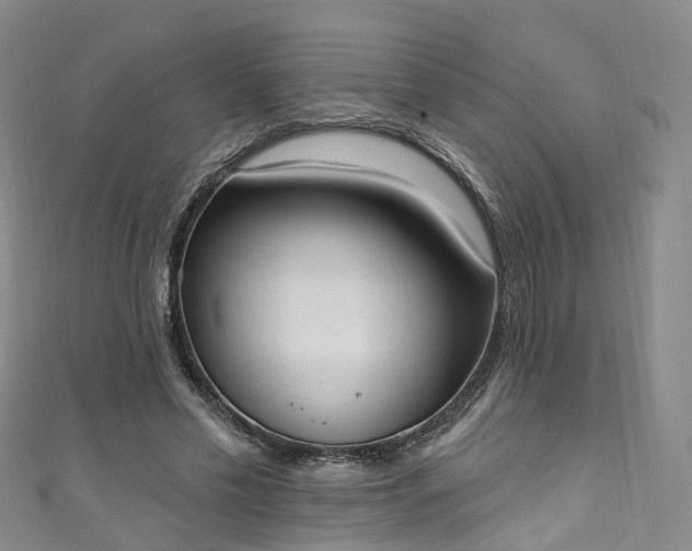 X0000111020589200906261542